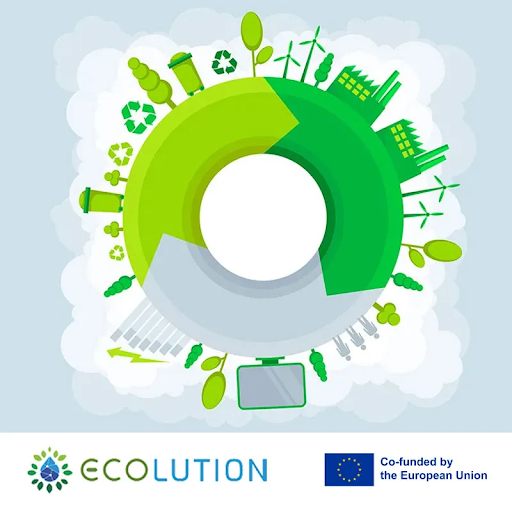 Why do ECOLUTION students learn about Circular Economy Management?