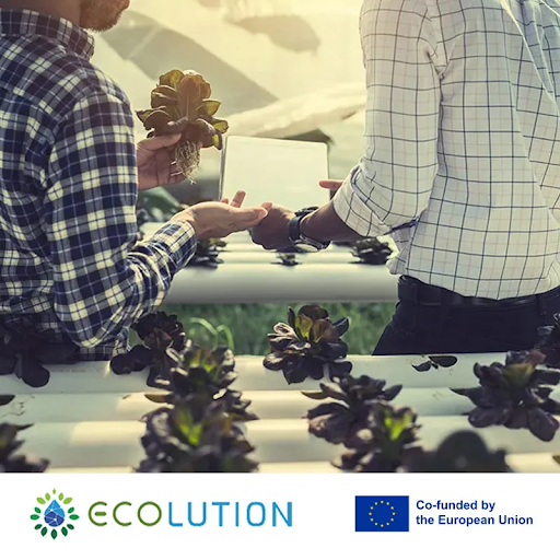 Why Do ECOLUTION MSc Students Learn Sustainable Land Management?