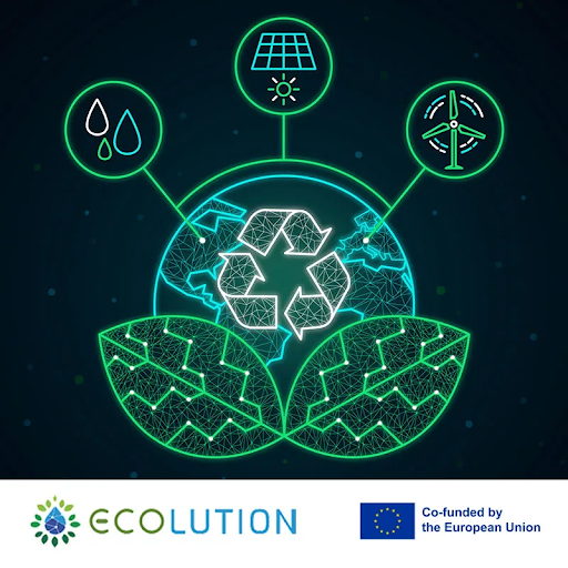 ECOLUTION Looking Ahead: Sustainability Reflections for the New Year